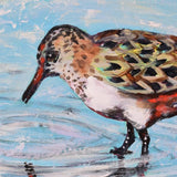 Detail of Shorebird Reflection by Honey Hilliard