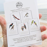 Songbird Note Cards Vol 2