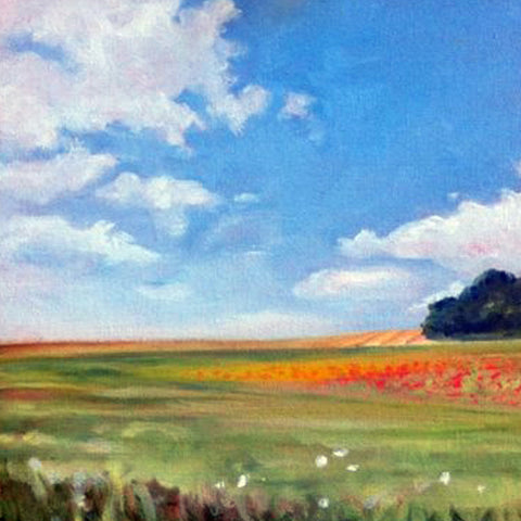 Poppy Field, oil, 8 x 10