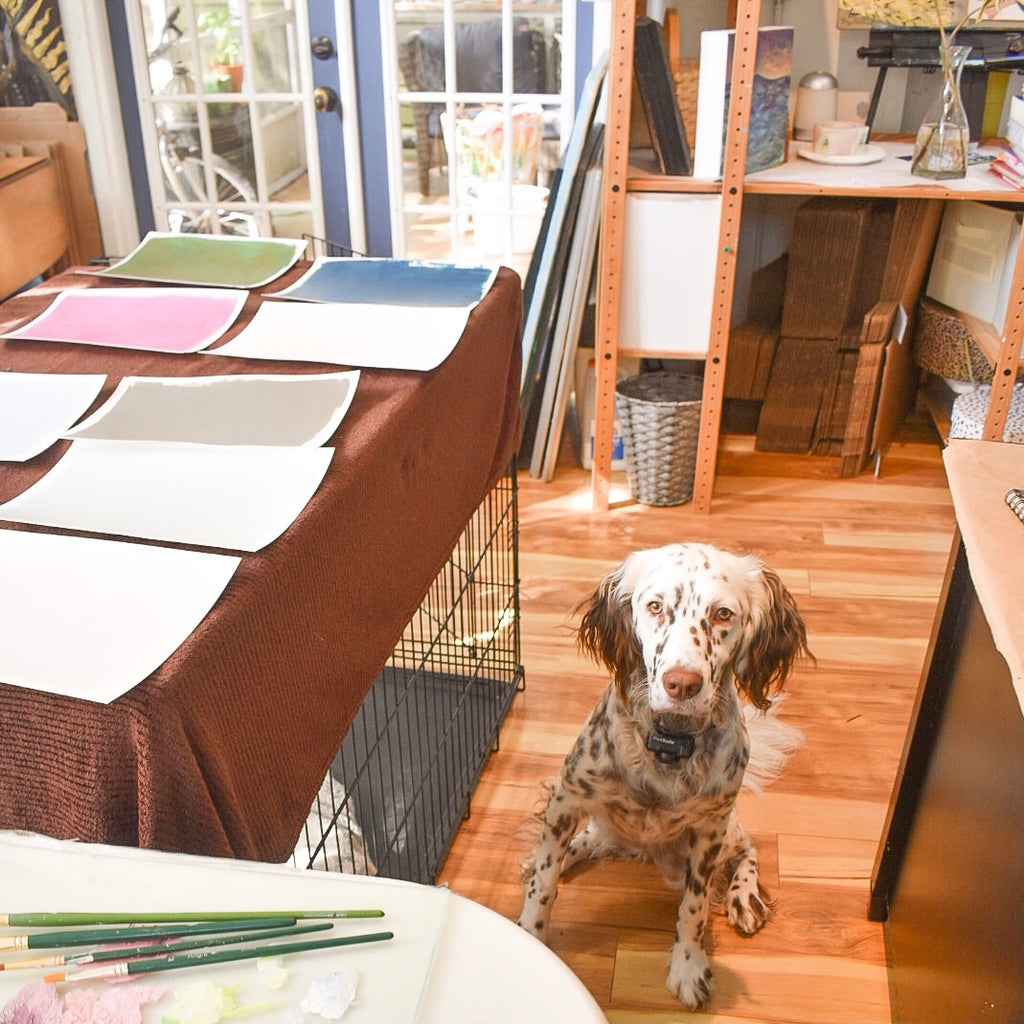 Preparing for Labor and Delivery of "Botanicals by Honey", with Help from my 4-legged Studio Mate