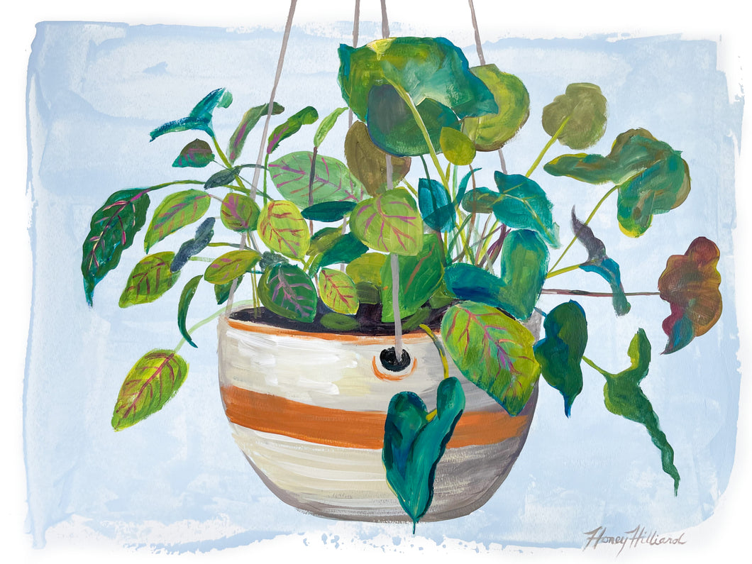 Hanging Pot SOLD