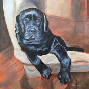 Commissioned Pet Portrait
