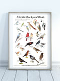 Bird Poster, Signed, 20x30