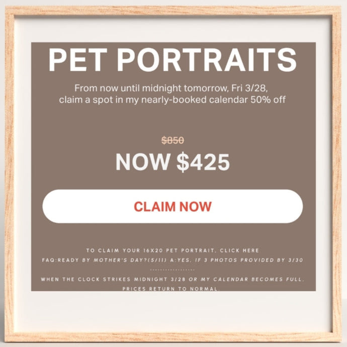Commissioned Pet Portrait