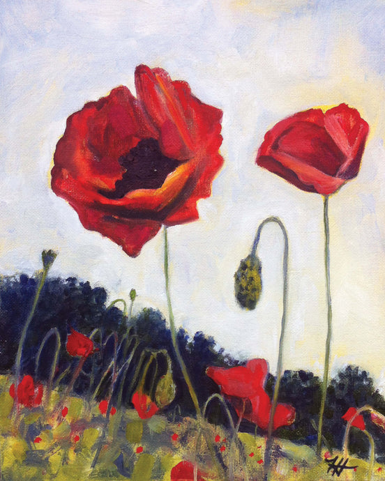 Poppies