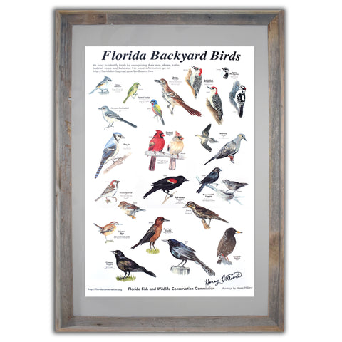 Bird Poster, 20 x 30, Signed