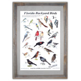 Bird Poster, Signed, 20x30