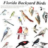 Bird Poster, Signed, 20x30