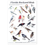 Bird Poster, Signed, 20x30