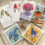 Birds & French Scenes Big Bundle Notecards Gift Set
