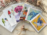Birds & French Scenes Big Bundle Notecards Gift Set