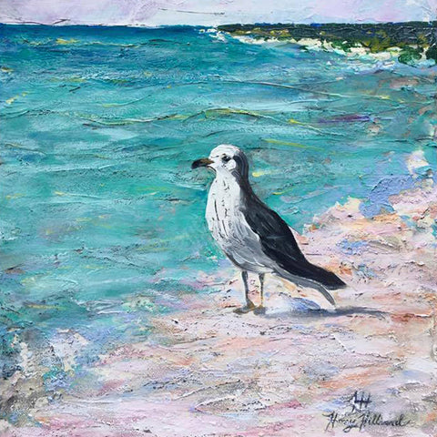 Pretty Gull, 18 x 24