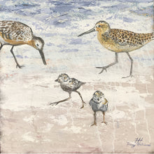 Load image into Gallery viewer, Shorebird Family, 48 x 24