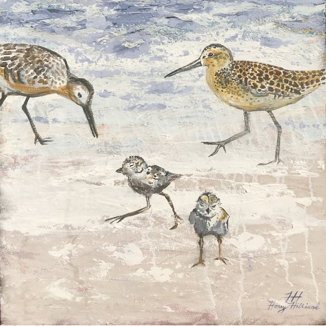 Shorebird Family, 48 x 24