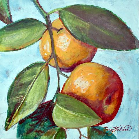 Oranges, 12 x 12 x 2.5 deep