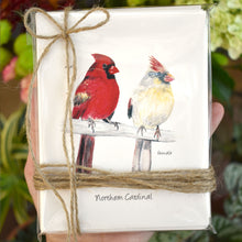 Load image into Gallery viewer, Songbird Note Cards Vol 1