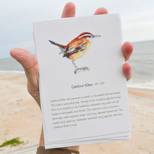 Songbird Note Cards Vol 1