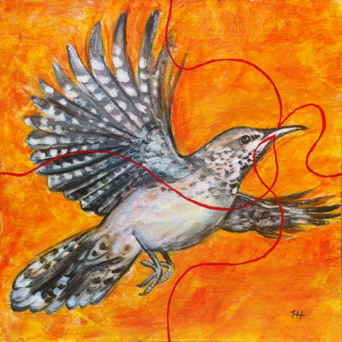 FireBird, 12x12